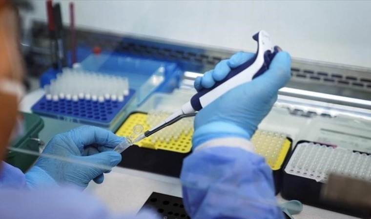 Portugal registers 29 mpox cases since August Portugal registers 29 mpox cases since August