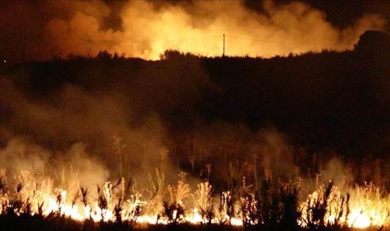Wildfire spreads across 1,800 hectares in New Zealand’s Wildfire spreads across 1,800 hectares in New Zealand’s
