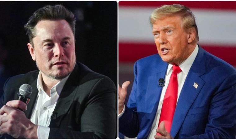 Musk 'has no actual or formal authority,' says White Hou