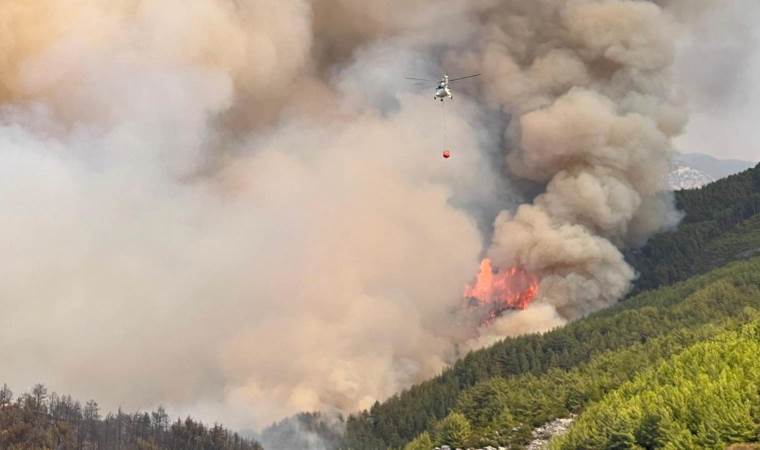 Spain stabilizes major wildfire as over 123,000 hectares Spain stabilizes major wildfire as over 123,000 hectares