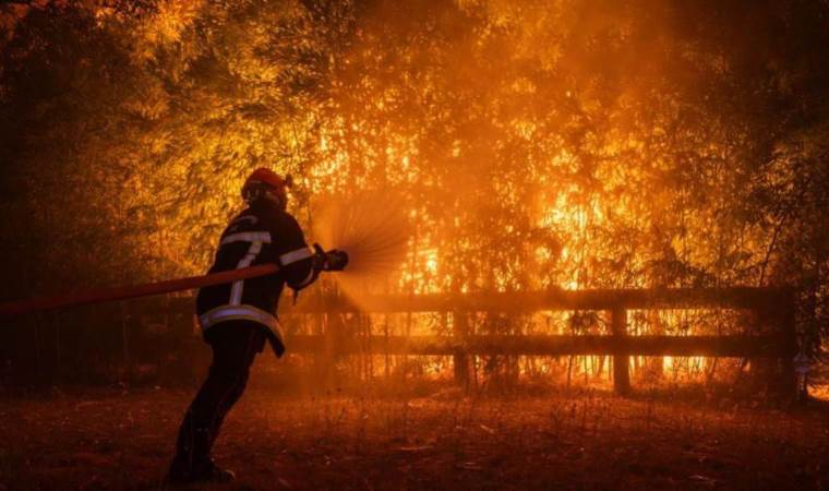 Over 1,300 households left without power amid wildfires Over 1,300 households left without power amid wildfires