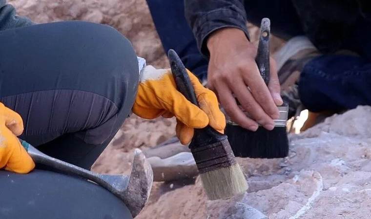 Archaeologists discover 2,100-year-old Indian gold rings Archaeologists discover 2,100-year-old Indian gold rings